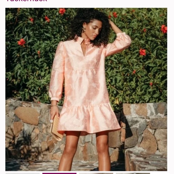 Tuckernuck Dresses & Skirts - NWT Tuckernuck Bellini Pink Fil Coupe Palmerston party dress S